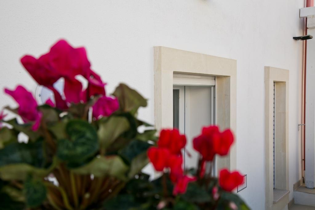 Residence Giuliana Santa Maria di Leuca エクステリア 写真